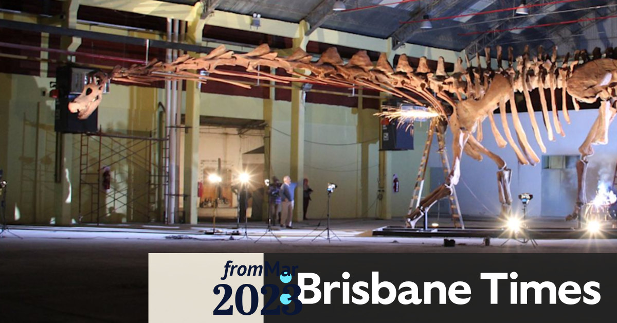 Qld exhibition features largestever dinosaur, a cousin to Aus heavyweight